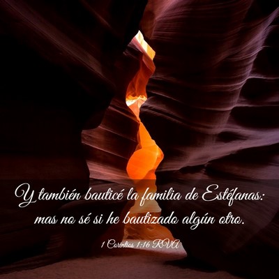 Picture 03 - 1 Corintios 1:16 RVA - Y también bauticé la familia de Estéfanas: mas - Bible Verse Picture