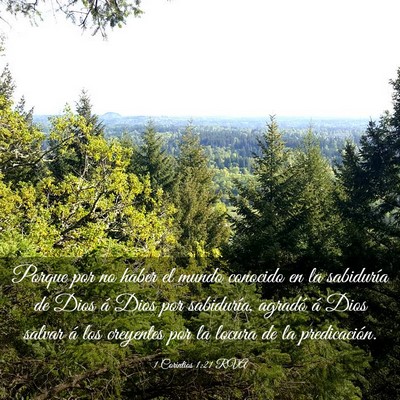 Picture 03 - 1 Corintios 1:21 RVA - Porque por no haber el mundo conocido en la - Bible Verse Picture