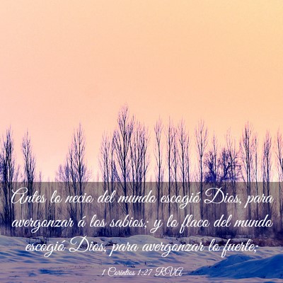 Picture 03 - 1 Corintios 1:27 RVA - Antes lo necio del mundo escogió Dios, para - Bible Verse Picture