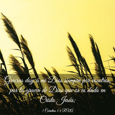 Picture 03 - 1 Corintios 1:4 RVA - Gracias doy á mi Dios siempre por vosotros, por - Bible Verse Picture
