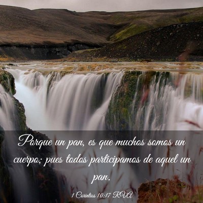 Picture 03 - 1 Corintios 10:17 RVA - Porque un pan, es que muchos somos un cuerpo; - Bible Verse Picture