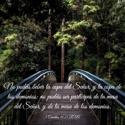 Picture 03 - 1 Corintios 10:21 RVA - No podéis beber la copa del Señor, y la copa de - Bible Verse Picture