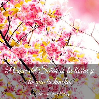 Picture 03 - 1 Corintios 10:26 RVA - Porque del Señor es la tierra y lo que la - Bible Verse Picture