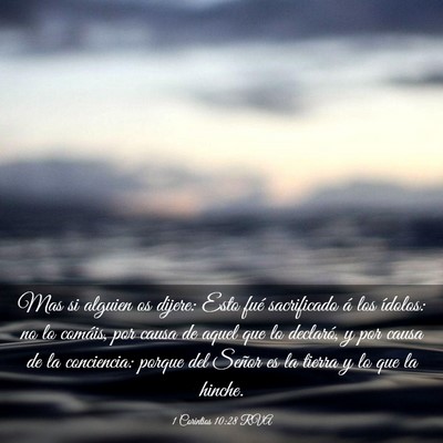 Picture 03 - 1 Corintios 10:28 RVA - Mas si alguien os dijere: Esto fué sacrificado - Bible Verse Picture