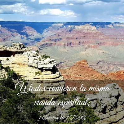 Picture 03 - 1 Corintios 10:3 RVA - Y todos comieron la misma vianda - Bible Verse Picture