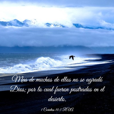 Picture 03 - 1 Corintios 10:5 RVA - Mas de muchos de ellos no se agradó Dios; por lo - Bible Verse Picture