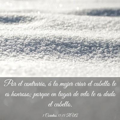 Picture 03 - 1 Corintios 11:15 RVA - Por el contrario, á la mujer criar el cabello le - Bible Verse Picture