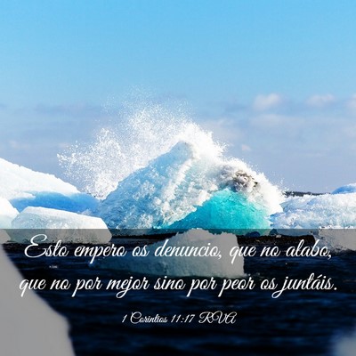 Picture 03 - 1 Corintios 11:17 RVA - Esto empero os denuncio, que no alabo, que no por - Bible Verse Picture