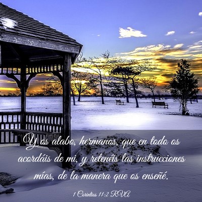 Picture 03 - 1 Corintios 11:2 RVA - Y os alabo, hermanos, que en todo os acordáis de - Bible Verse Picture
