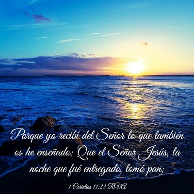 Picture 03 - 1 Corintios 11:23 RVA - Porque yo recibí del Señor lo que también os - Bible Verse Picture