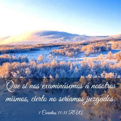 Picture 03 - 1 Corintios 11:31 RVA - Que si nos examinásemos á nosotros mismos, - Bible Verse Picture
