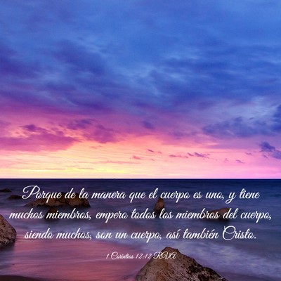 Picture 03 - 1 Corintios 12:12 RVA - Porque de la manera que el cuerpo es uno, y tiene - Bible Verse Picture