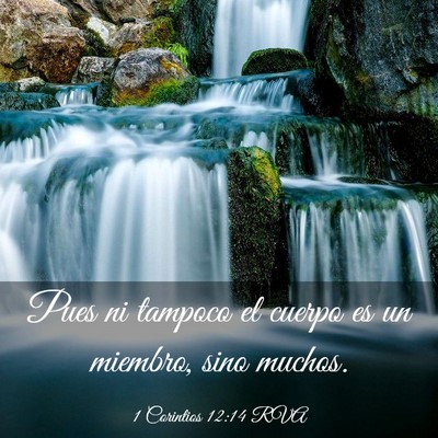 Picture 03 - 1 Corintios 12:14 RVA - Pues ni tampoco el cuerpo es un miembro, sino - Bible Verse Picture