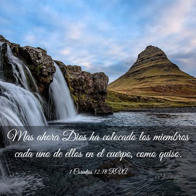 Picture 03 - 1 Corintios 12:18 RVA - Mas ahora Dios ha colocado los miembros cada uno - Bible Verse Picture