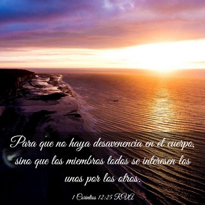 Picture 03 - 1 Corintios 12:25 RVA - Para que no haya desavenencia en el cuerpo, sino - Bible Verse Picture