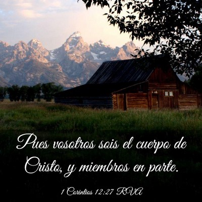 Picture 03 - 1 Corintios 12:27 RVA - Pues vosotros sois el cuerpo de Cristo, y - Bible Verse Picture
