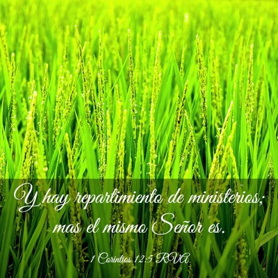 Picture 03 - 1 Corintios 12:5 RVA - Y hay repartimiento de ministerios; mas el mismo - Bible Verse Picture