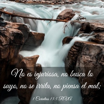 Picture 03 - 1 Corintios 13:5 RVA - No es injuriosa, no busca lo suyo, no se irrita, - Bible Verse Picture