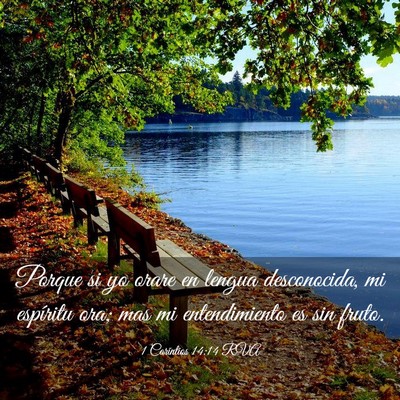 Picture 03 - 1 Corintios 14:14 RVA - Porque si yo orare en lengua desconocida, mi - Bible Verse Picture