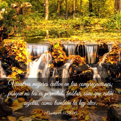 Picture 03 - 1 Corintios 14:34 RVA - Vuestras mujeres callen en las congregaciones; - Bible Verse Picture