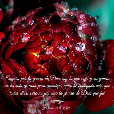 Picture 03 - 1 Corintios 15:10 RVA - Empero por la gracia de Dios soy lo que soy: y su - Bible Verse Picture