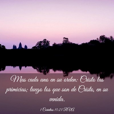 Picture 03 - 1 Corintios 15:23 RVA - Mas cada uno en su orden: Cristo las primicias; - Bible Verse Picture