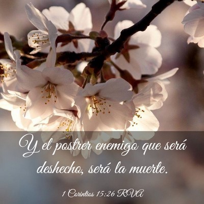 Picture 03 - 1 Corintios 15:26 RVA - Y el postrer enemigo que será deshecho, será la - Bible Verse Picture