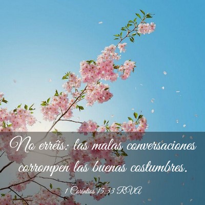 Picture 03 - 1 Corintios 15:33 RVA - No erréis: las malas conversaciones corrompen - Bible Verse Picture