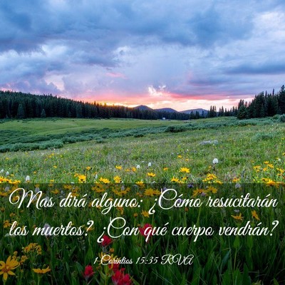 Picture 03 - 1 Corintios 15:35 RVA - Mas dirá alguno: ¿Cómo resucitarán los - Bible Verse Picture