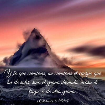 Picture 03 - 1 Corintios 15:37 RVA - Y lo que siembras, no siembras el cuerpo que ha - Bible Verse Picture