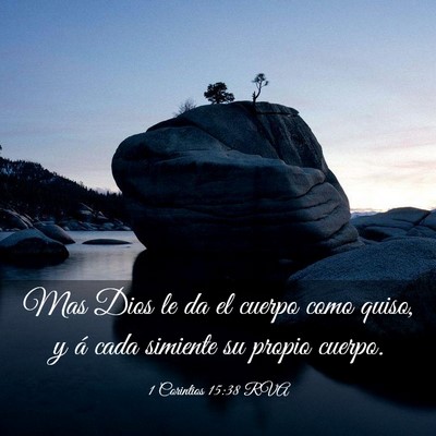 Picture 03 - 1 Corintios 15:38 RVA - Mas Dios le da el cuerpo como quiso, y á cada - Bible Verse Picture