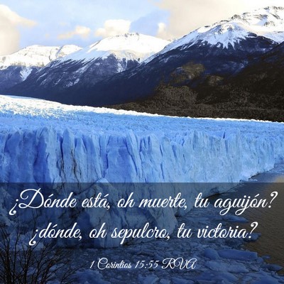 Picture 03 - 1 Corintios 15:55 RVA - ¿Dónde está, oh muerte, tu aguijón? ¿dónde, - Bible Verse Picture