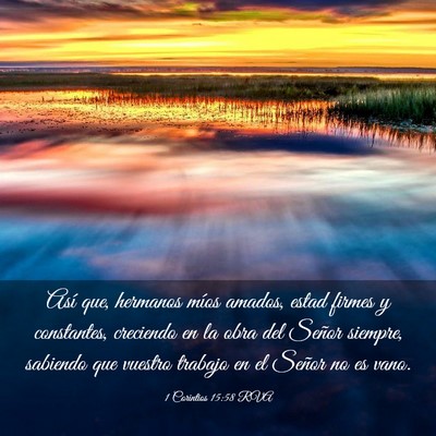 Picture 03 - 1 Corintios 15:58 RVA - Así que, hermanos míos amados, estad firmes y - Bible Verse Picture