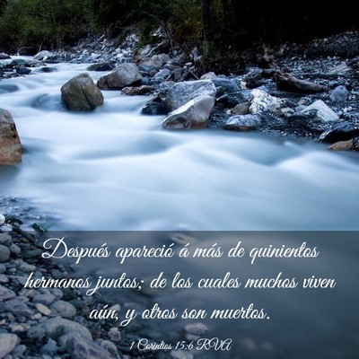 Picture 03 - 1 Corintios 15:6 RVA - Después apareció á más de quinientos hermanos - Bible Verse Picture