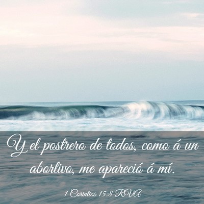 Picture 03 - 1 Corintios 15:8 RVA - Y el postrero de todos, como á un abortivo, me - Bible Verse Picture