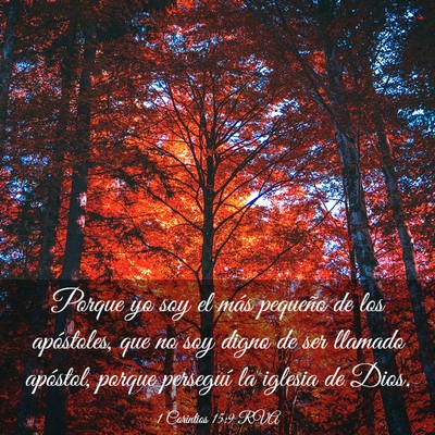 Picture 03 - 1 Corintios 15:9 RVA - Porque yo soy el más pequeño de los apóstoles, - Bible Verse Picture