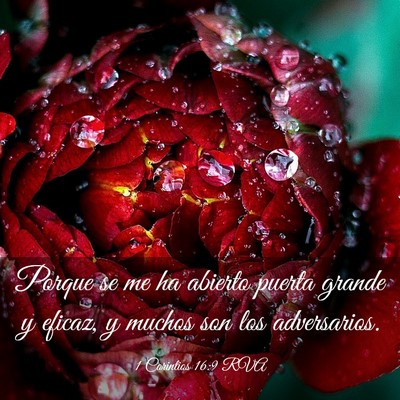 Picture 03 - 1 Corintios 16:9 RVA - Porque se me ha abierto puerta grande y eficaz, y - Bible Verse Picture