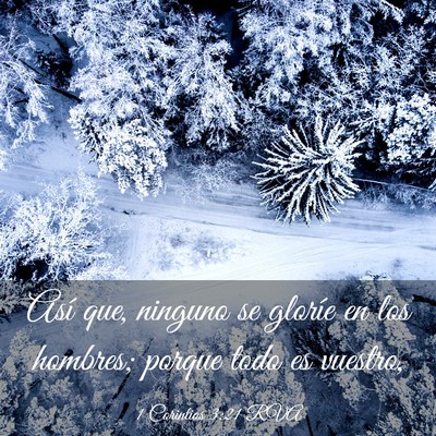 Picture 03 - 1 Corintios 3:21 RVA - Así que, ninguno se gloríe en los hombres; - Bible Verse Picture