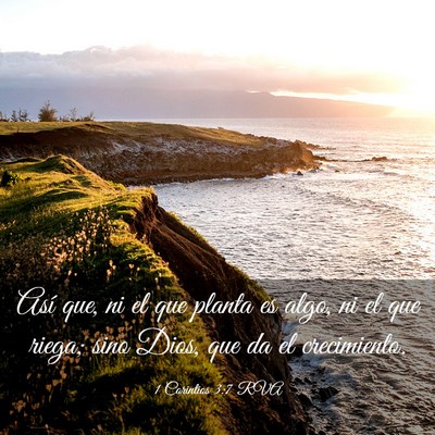 Picture 03 - 1 Corintios 3:7 RVA - Así que, ni el que planta es algo, ni el que - Bible Verse Picture
