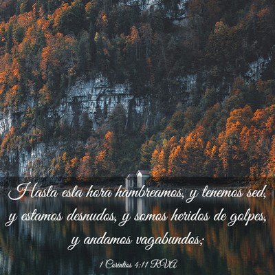 Picture 03 - 1 Corintios 4:11 RVA - Hasta esta hora hambreamos, y tenemos sed, y - Bible Verse Picture