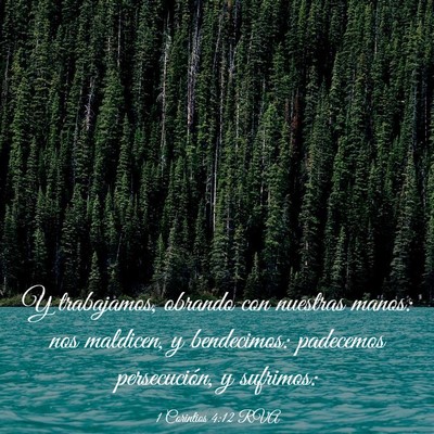Picture 03 - 1 Corintios 4:12 RVA - Y trabajamos, obrando con nuestras manos: nos - Bible Verse Picture