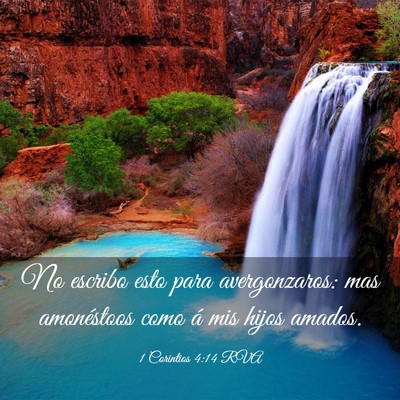 Picture 03 - 1 Corintios 4:14 RVA - No escribo esto para avergonzaros: mas - Bible Verse Picture
