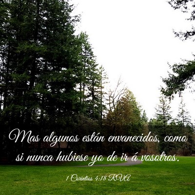 Picture 03 - 1 Corintios 4:18 RVA - Mas algunos están envanecidos, como si nunca - Bible Verse Picture