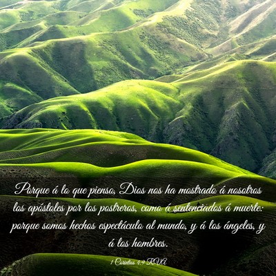 Picture 03 - 1 Corintios 4:9 RVA - Porque á lo que pienso, Dios nos ha mostrado á - Bible Verse Picture