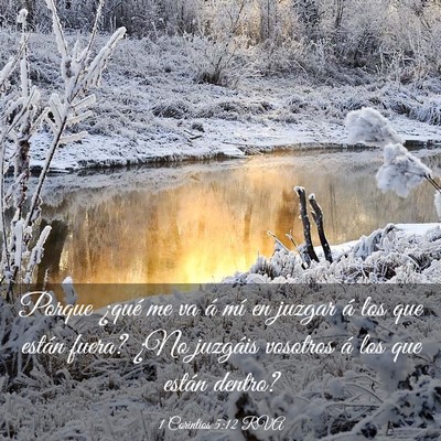 Picture 03 - 1 Corintios 5:12 RVA - Porque ¿qué me va á mí en juzgar á los que - Bible Verse Picture