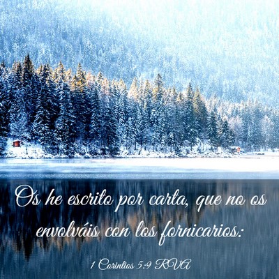 Picture 03 - 1 Corintios 5:9 RVA - Os he escrito por carta, que no os envolváis con - Bible Verse Picture