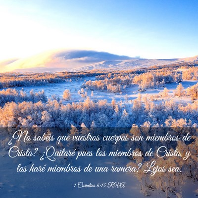 Picture 03 - 1 Corintios 6:15 RVA - ¿No sabéis que vuestros cuerpos son miembros de - Bible Verse Picture