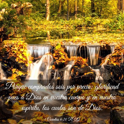 Picture 03 - 1 Corintios 6:20 RVA - Porque comprados sois por precio: glorificad pues - Bible Verse Picture