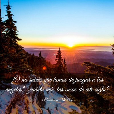 Picture 03 - 1 Corintios 6:3 RVA - ¿O no sabéis que hemos de juzgar á los - Bible Verse Picture