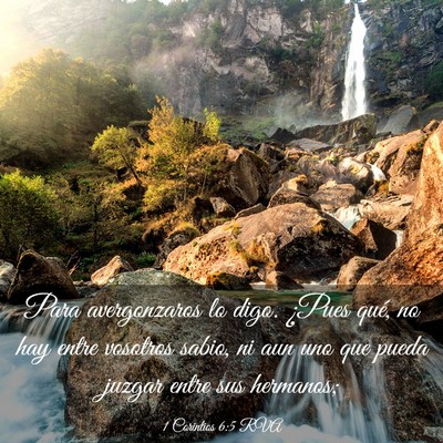Picture 03 - 1 Corintios 6:5 RVA - Para avergonzaros lo digo. ¿Pues qué, no hay - Bible Verse Picture